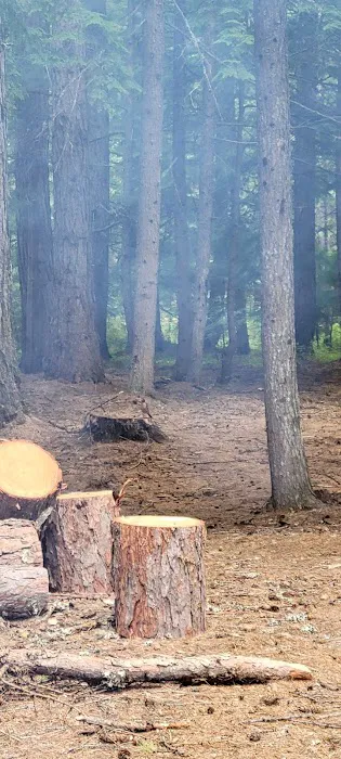 Marten Creek Campground 2