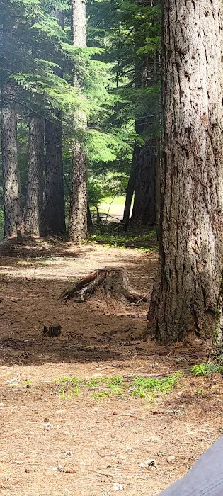 Marten Creek Campground 7