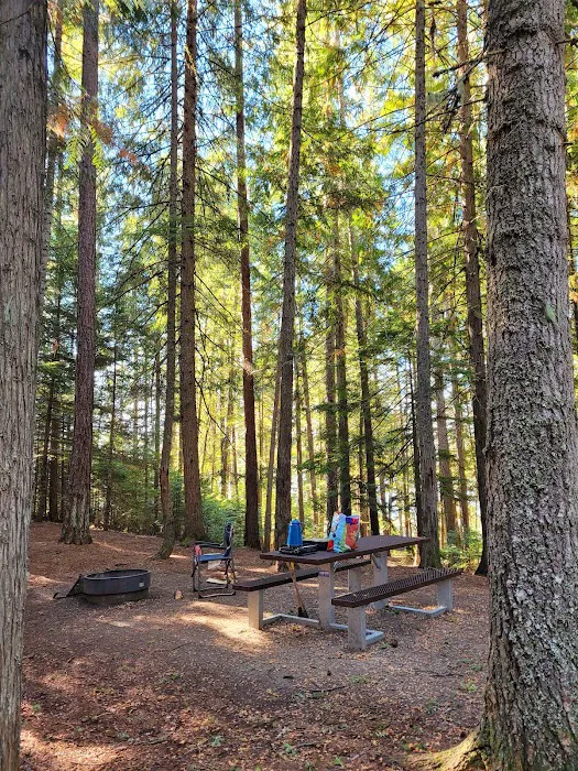 Bad Medicine Campground 1