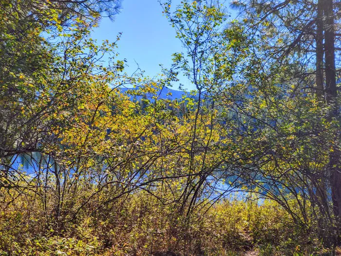 Trout Creek Campground 7