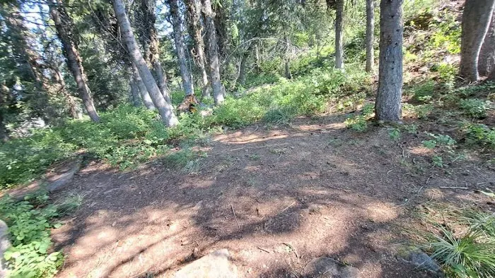 Spion Kop Campsite 2