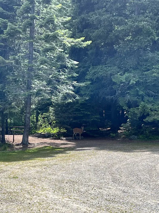 Howard Lake Campground 4