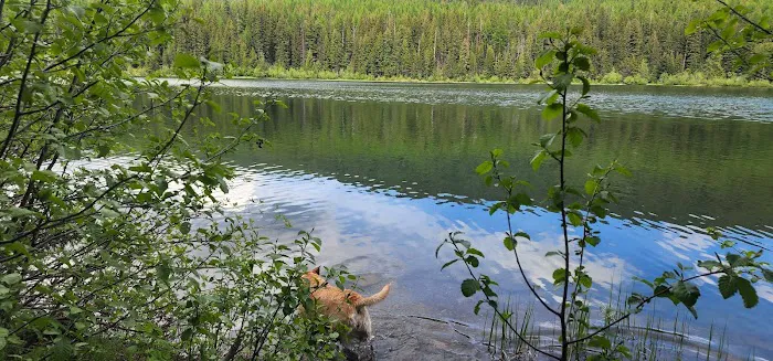 Howard Lake Campground 3
