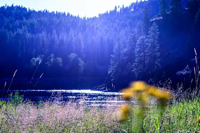 Dorr Skeels Campground 0