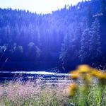 Dorr Skeels Campground