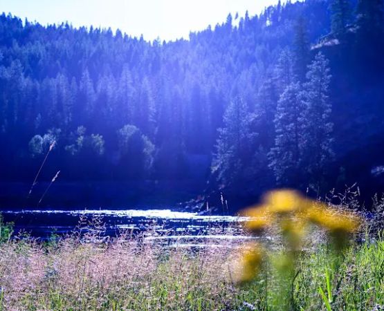 Dorr Skeels Campground