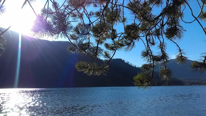 Dorr Skeels Campground 8