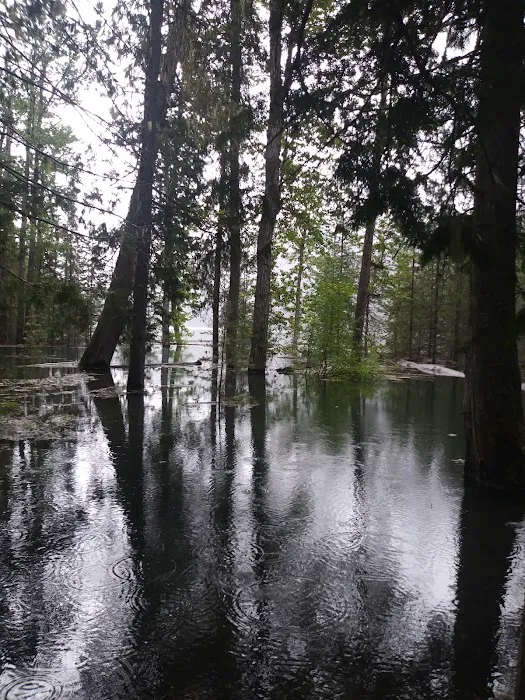 Spar Lake Campground 4