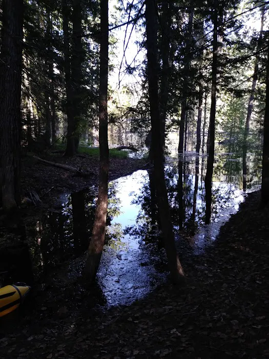 Spar Lake Campground 7