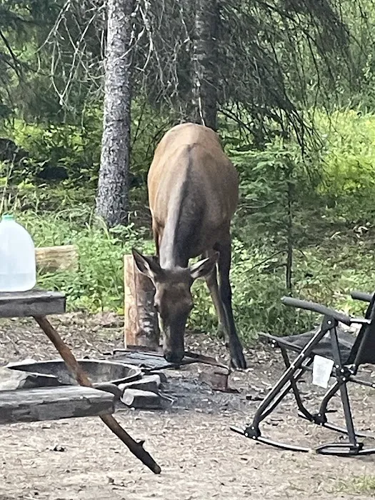 BIG HANK 7