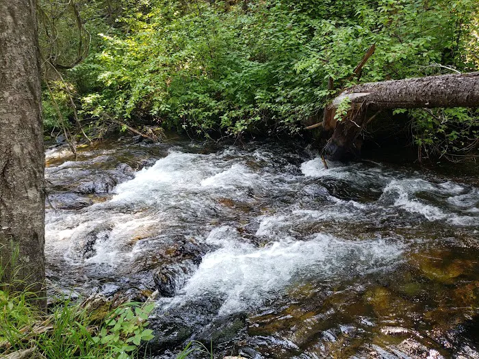 Gold Creek Campground 0