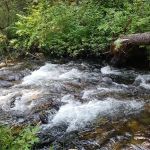 Gold Creek Campground