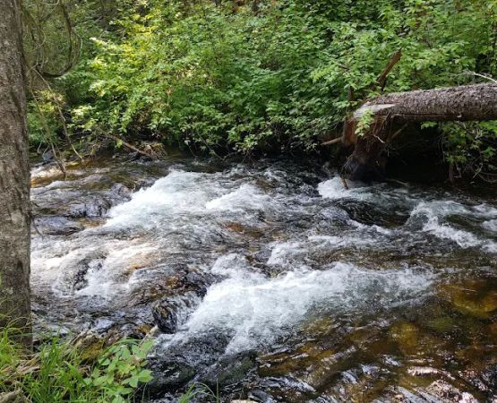 Gold Creek Campground