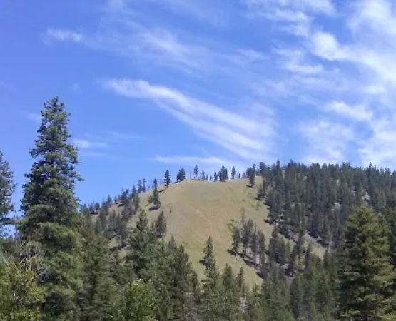 Bitterroot Flat Campground