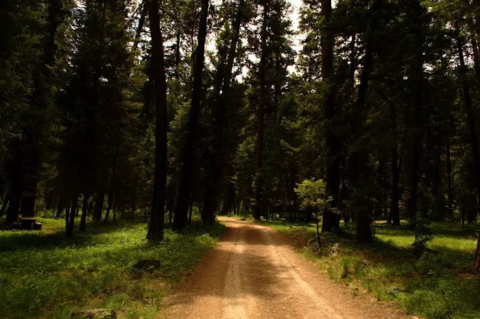 Bitterroot Flat Campground 3