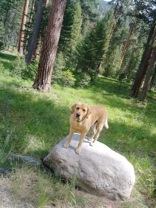 Harry's Flat Campground 0