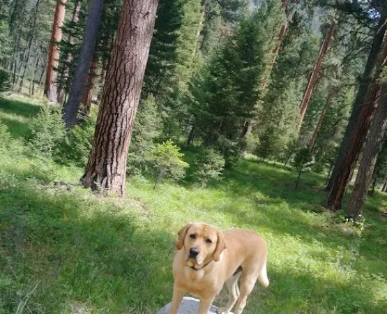 Harry's Flat Campground