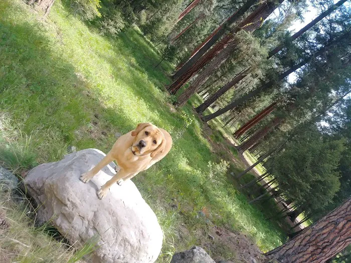 Harry's Flat Campground 4