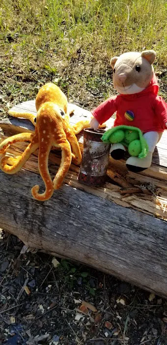 Harry's Flat Campground 7