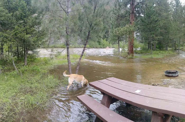 Harry's Flat Campground 6
