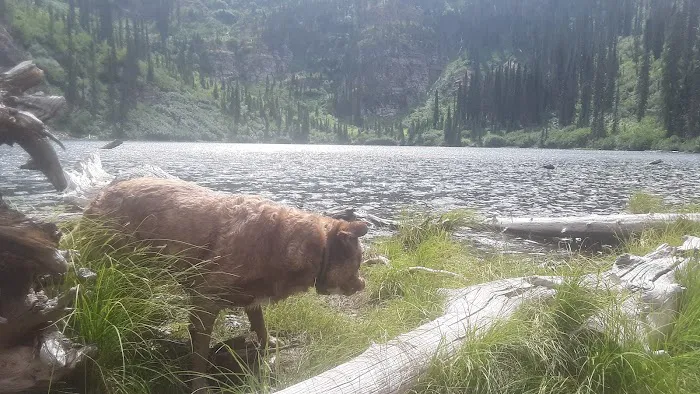 Porcupine Lake Campground 4