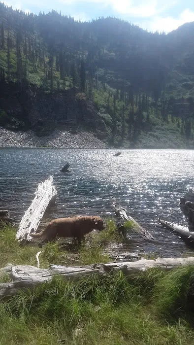 Porcupine Lake Campground 7