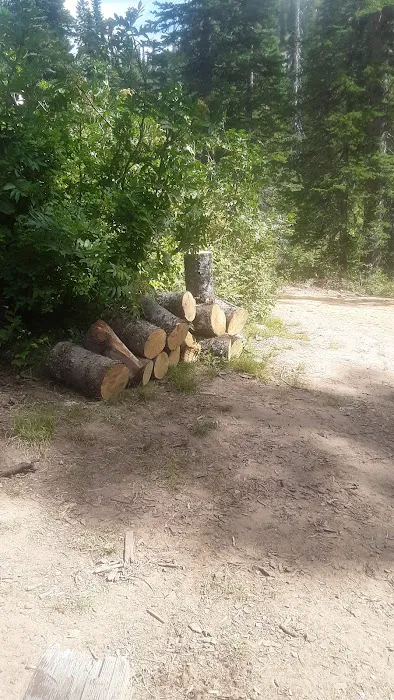 Porcupine Lake Campground 8