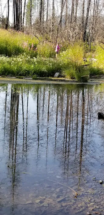 Sylvan Lake Campground 0