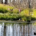 Sylvan Lake Campground