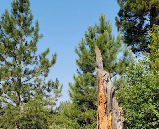 Pleasant Valley Campground