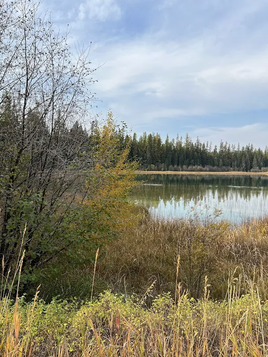 Upper Thompson Lake Campground 7