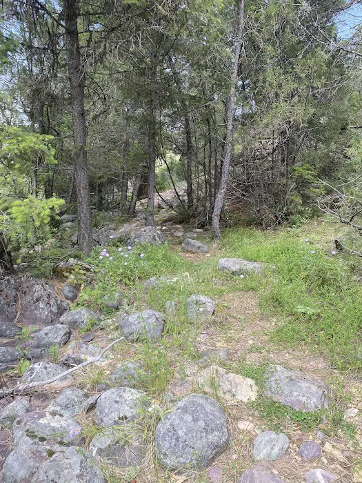 Ninemile Prairie Campground 9