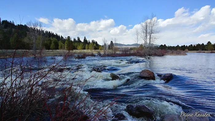 Clearwater Crossing Campground 0