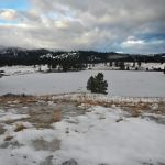 Harper's Lake Campground