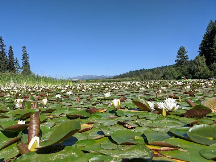 Placid Lake Campground 0