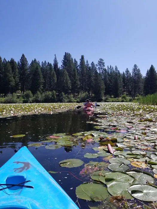 Placid Lake Campground 4