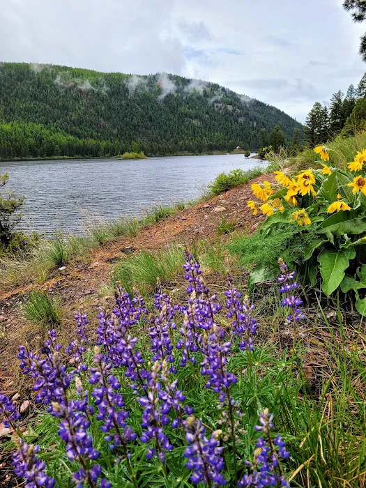 Salmon Lake Campground 7