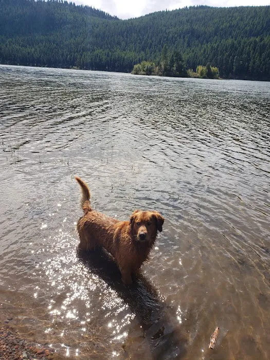 Salmon Lake Campground 8