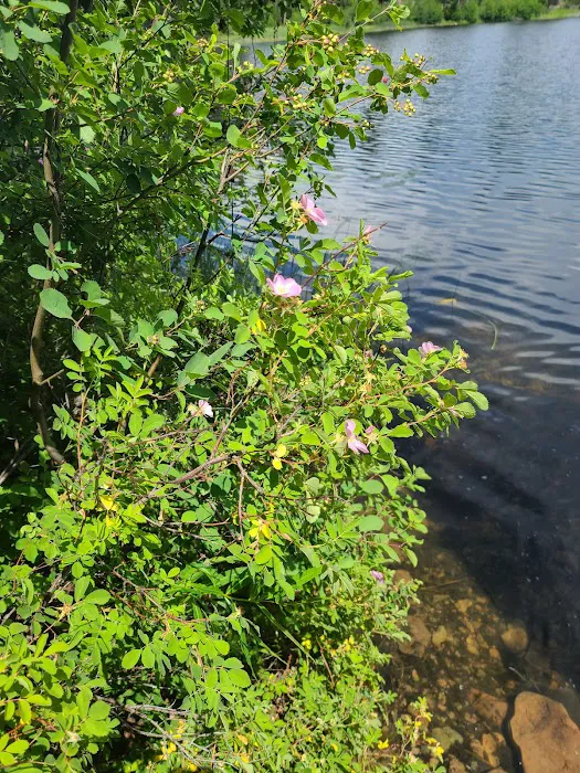 Hidden Lake Campground 3