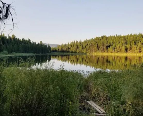 Tuppers Lake Campground