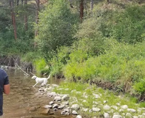 Monture Campground