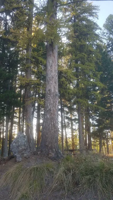 River Point Campground 7