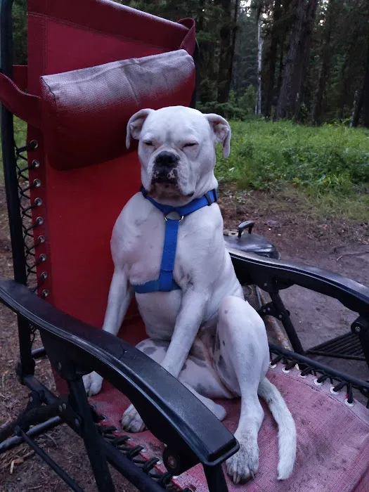 Seeley Lake Campground 5