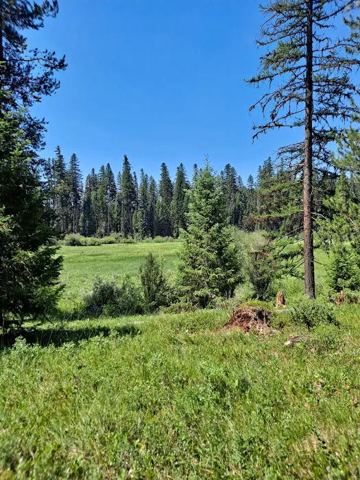 Seeley Lake Campground 4