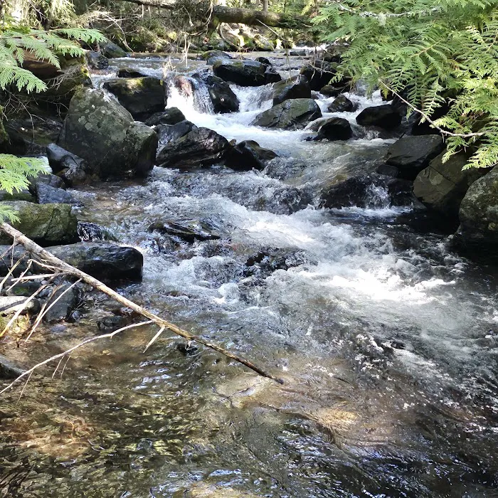 North Crow Creek Campground 1