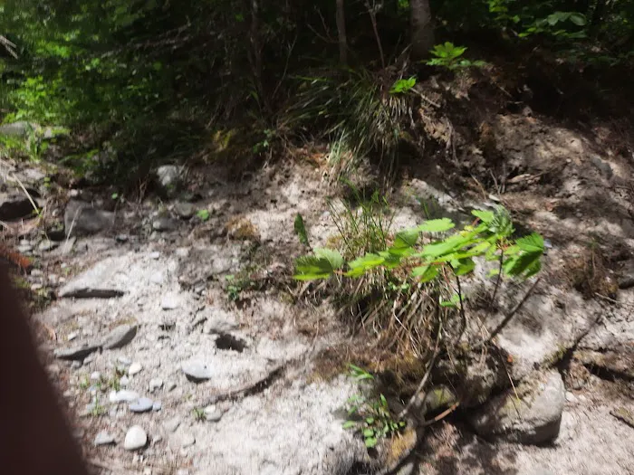 North Crow Creek Campground 7