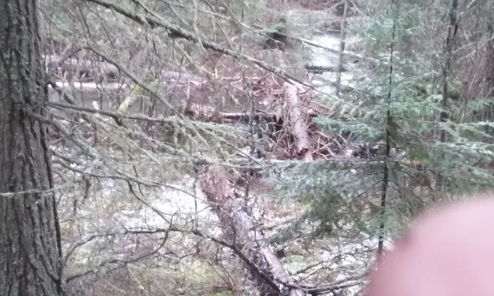 North Crow Creek Campground 8