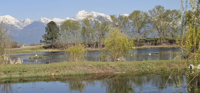 Willow Creek Campground 6