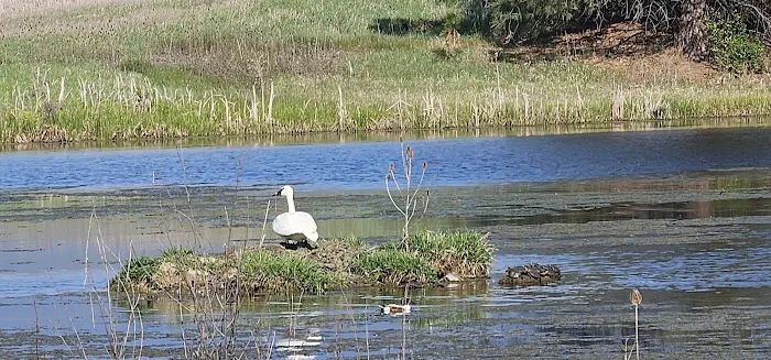 Willow Creek Campground 8