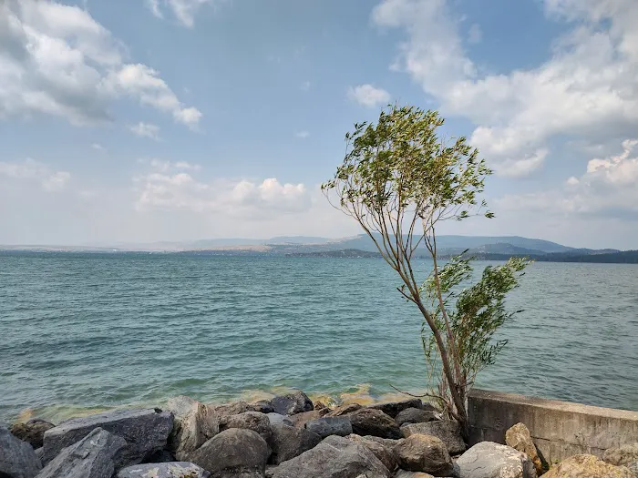 Finley Point Campground 5